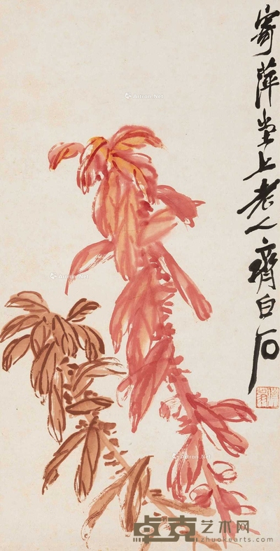雁来红