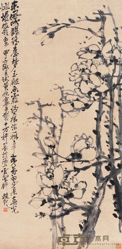 玉兰花