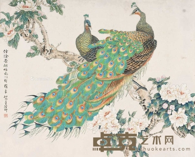 陆抑非 （款） 孔雀 立轴 55×67cm