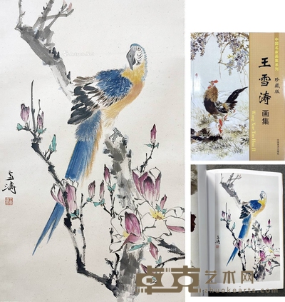 王雪涛 款 鹦鹉图 立轴 画芯69×42cm