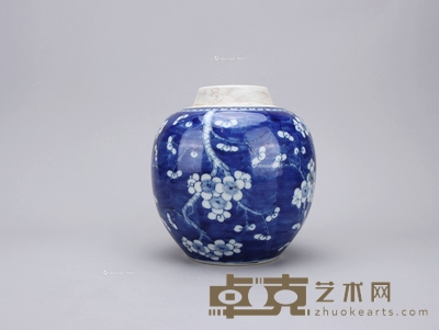 康熙 青花冰梅罐 高20cm；腹径20cm