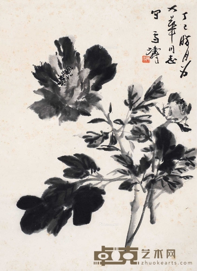 王雪涛 1977年作 牡丹 立轴 48×35cm