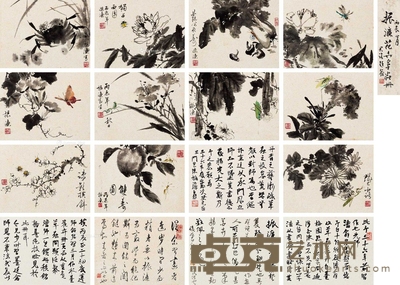 陈振濂 书法花卉册页 册页 24×18cm×16