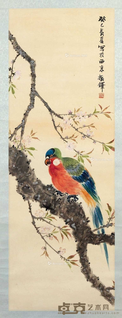张振铎 鹦鹉 挂轴 89×31cm