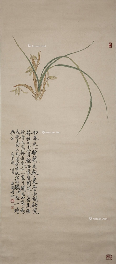 于非闇 兰草