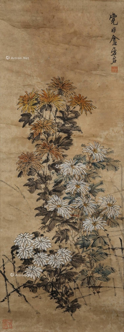 虚谷 菊花