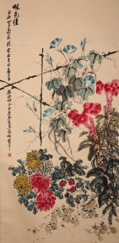 齐良迟 烁色佳