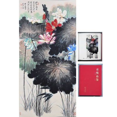 张大千 款 五彩荷花 立轴