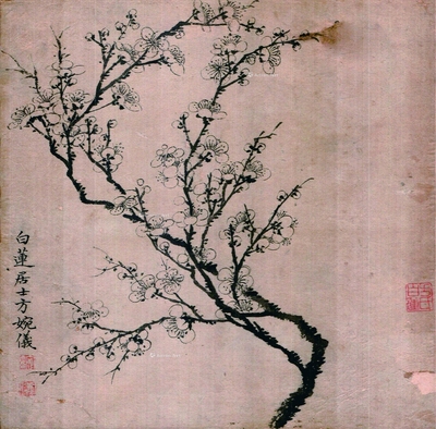 方婉仪 梅花 镜片
